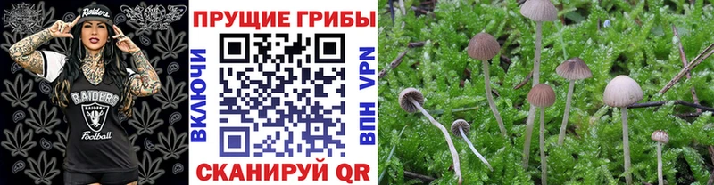 Галлюциногенные грибы MAGIC MUSHROOMS Усмань